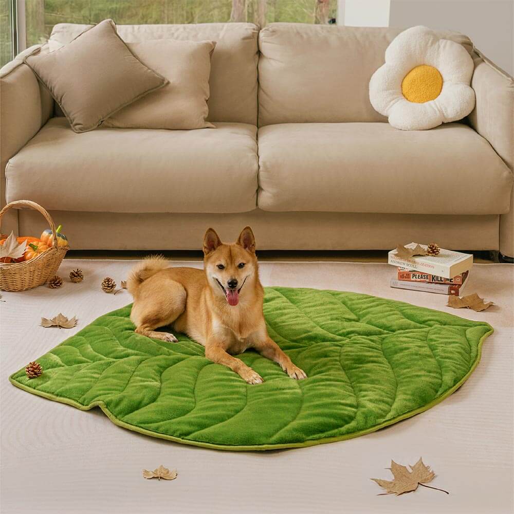 Plush Green Leaf Dog Blanket