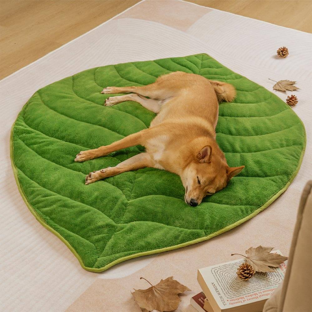 Plush Green Leaf Dog Blanket
