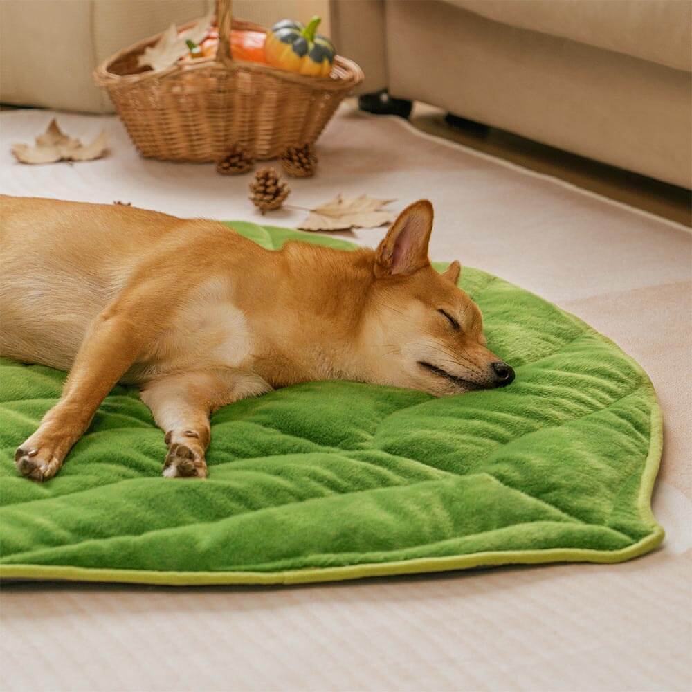 Plush Green Leaf Dog Blanket