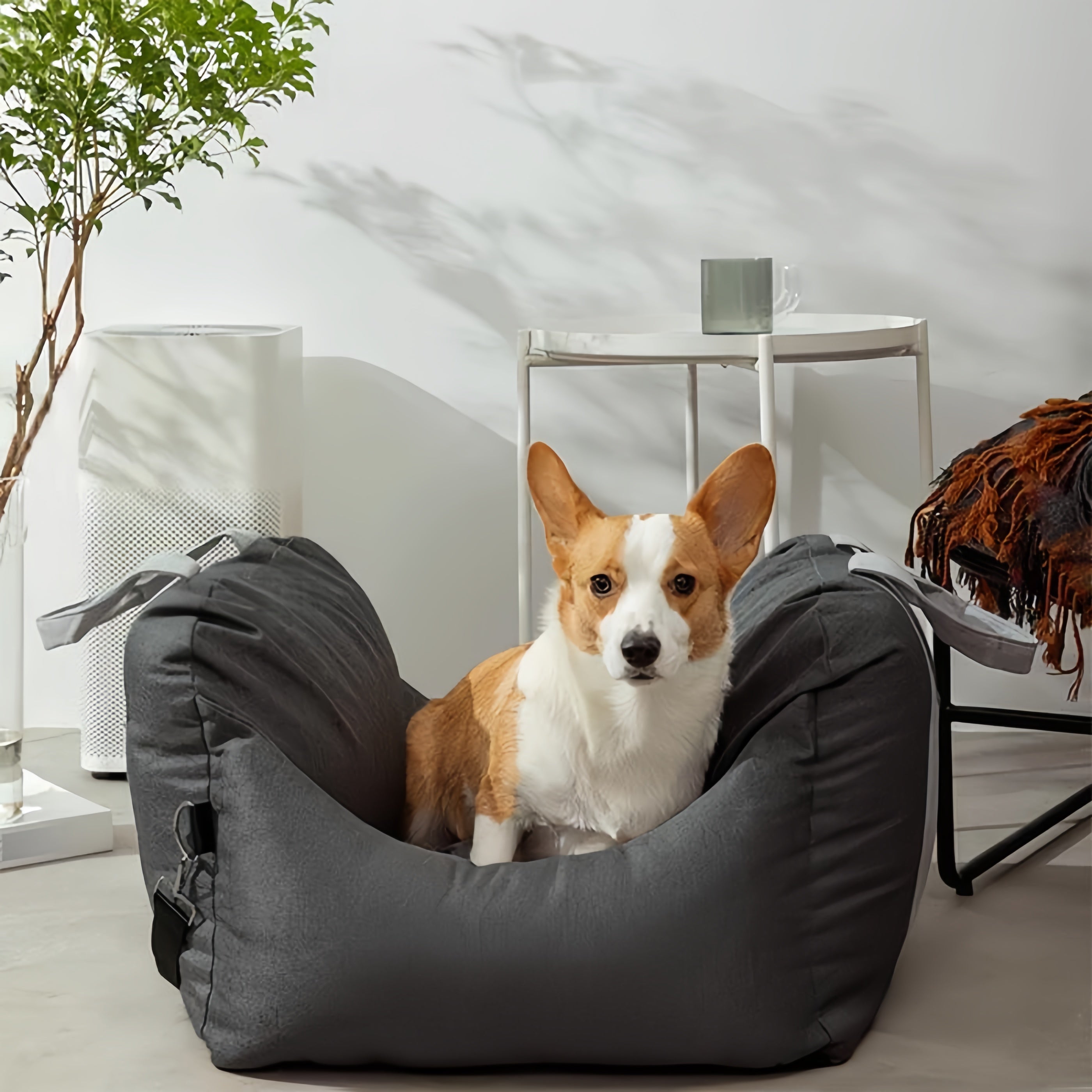 Anti-Scratch Portable Dog Car Seat Bed