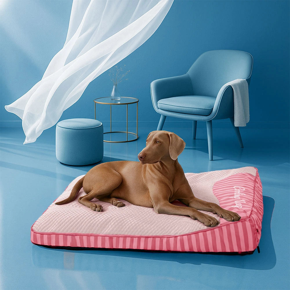 Cooling Scratch-resistant Spine Protection Large Washable Pet Cushion Bed