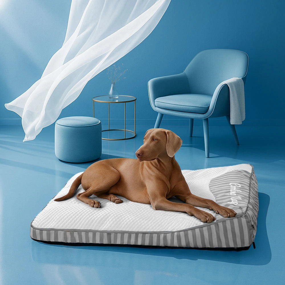 Cooling Scratch-resistant Spine Protection Large Washable Pet Cushion Bed
