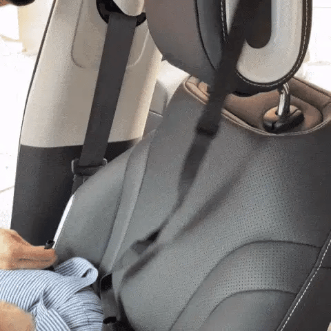 KEEPING YOUR DOG SAFE
