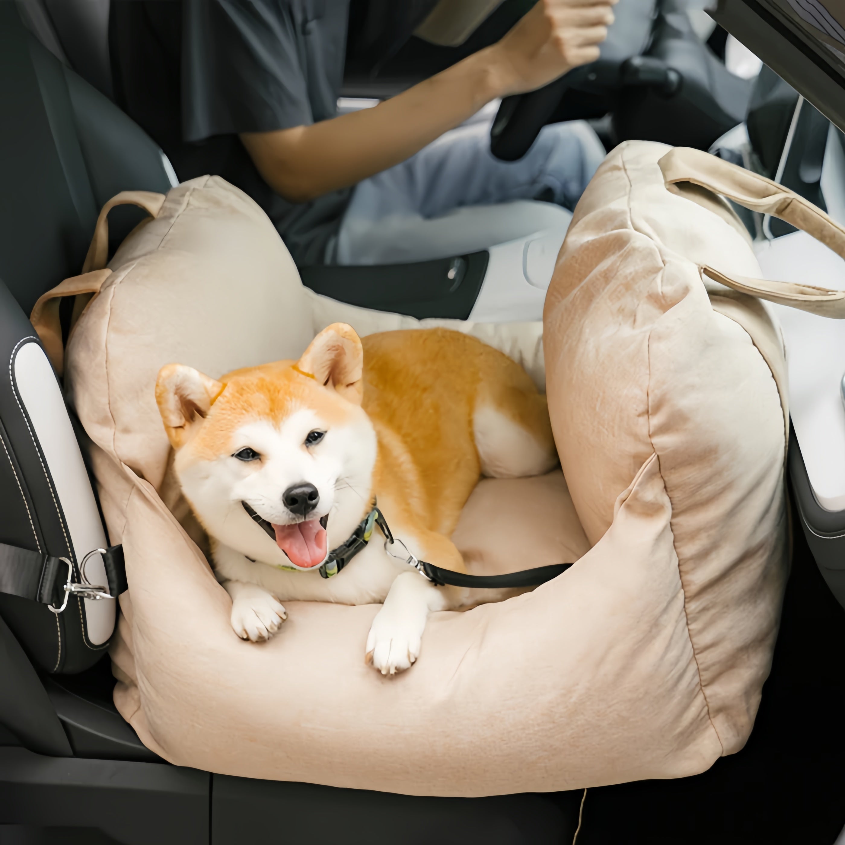 Anti-Scratch Portable Dog Car Seat Bed