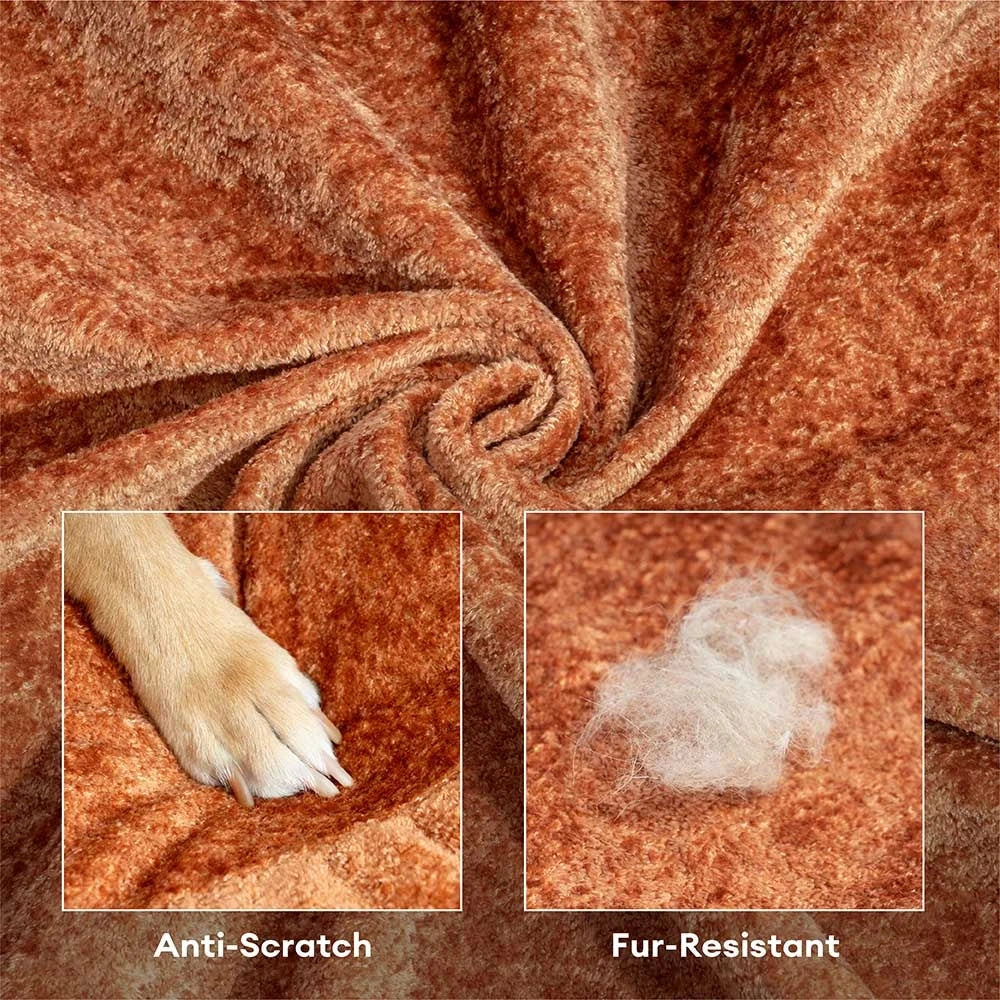 Maison Velvet Haven Anti-Scratch Orthopedic Donut Bed with Pillow