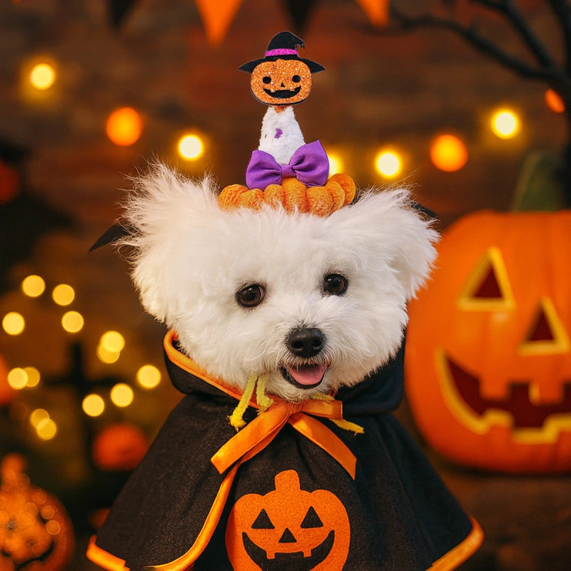 Halloween Knitted Hat
