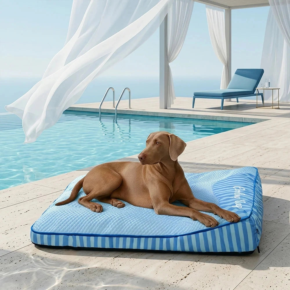 Cooling Scratch-resistant Spine Protection Large Washable Pet Cushion Bed