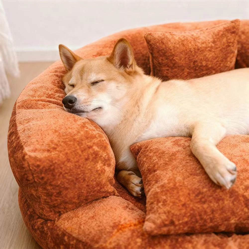 Maison Velvet Haven Anti-Scratch Orthopedic Donut Bed with Pillow