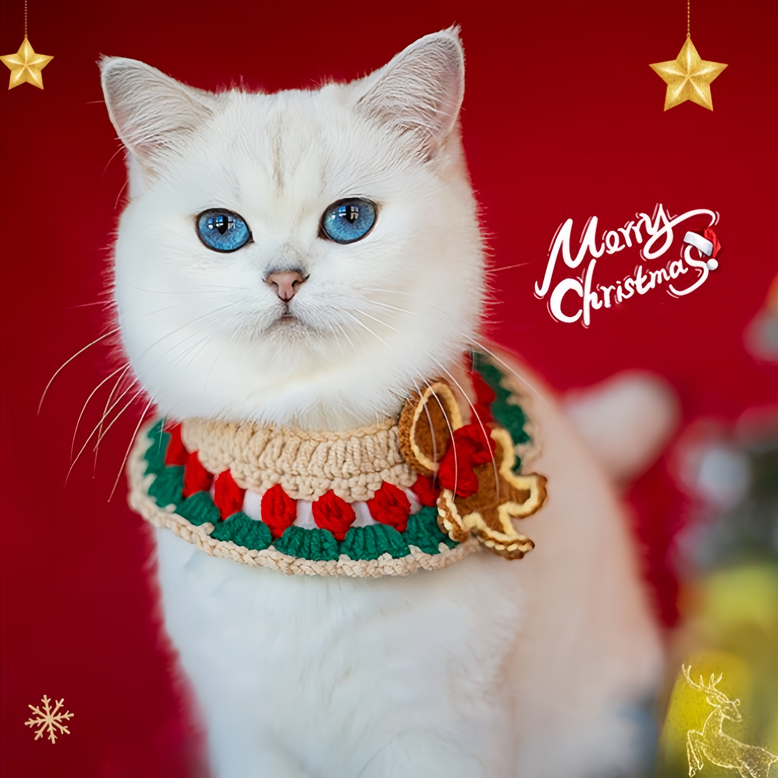 Christmas Knitted Scarf