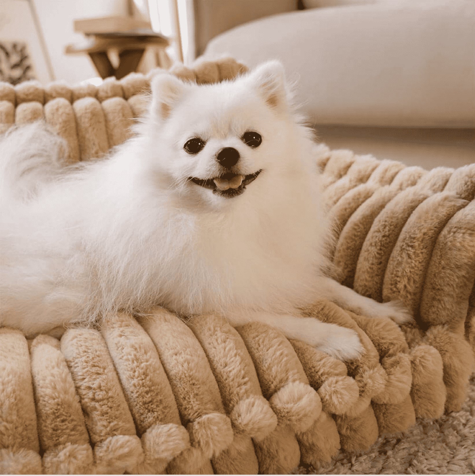 Fluffy Soft Orthopedic Dog Sofa Bed with Pillow