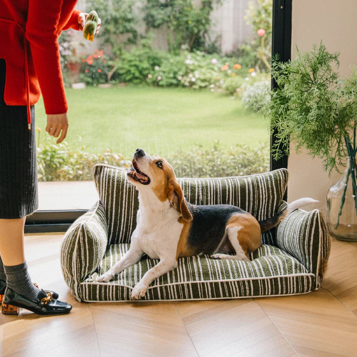 Cozy Textured Stripe Dog Sofa Bed