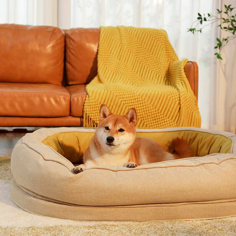 Yellow Donut Orthopedic Dog Bed