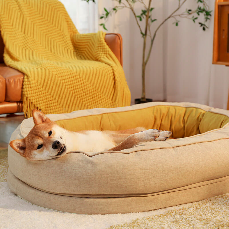 Yellow Donut Orthopedic Dog Bed