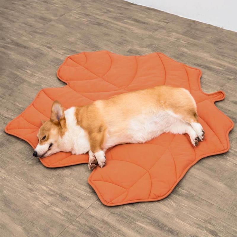 Maple Leaf Dog Blanket