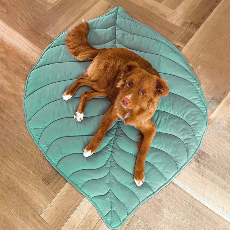 Green Leaf Dog Blanket