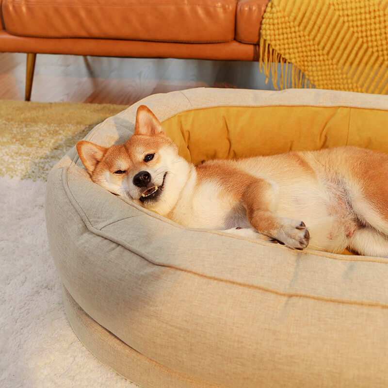 Yellow Donut Orthopedic Dog Bed