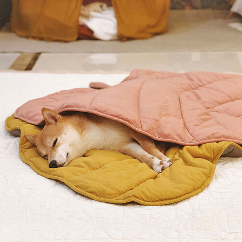 Yellow Leaf Dog Blanket