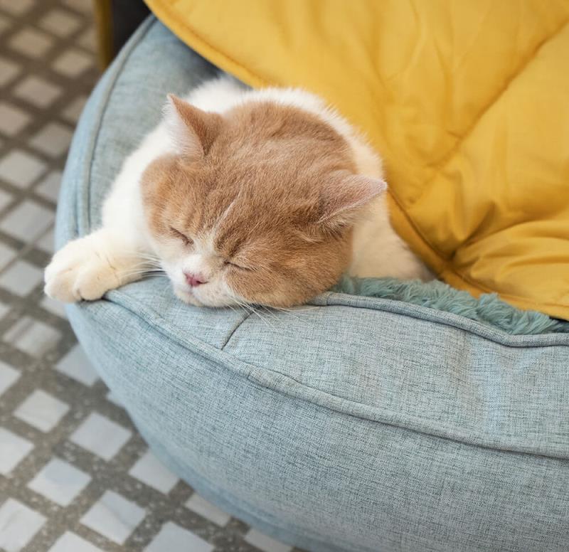Yellow Leaf Dog Blanket