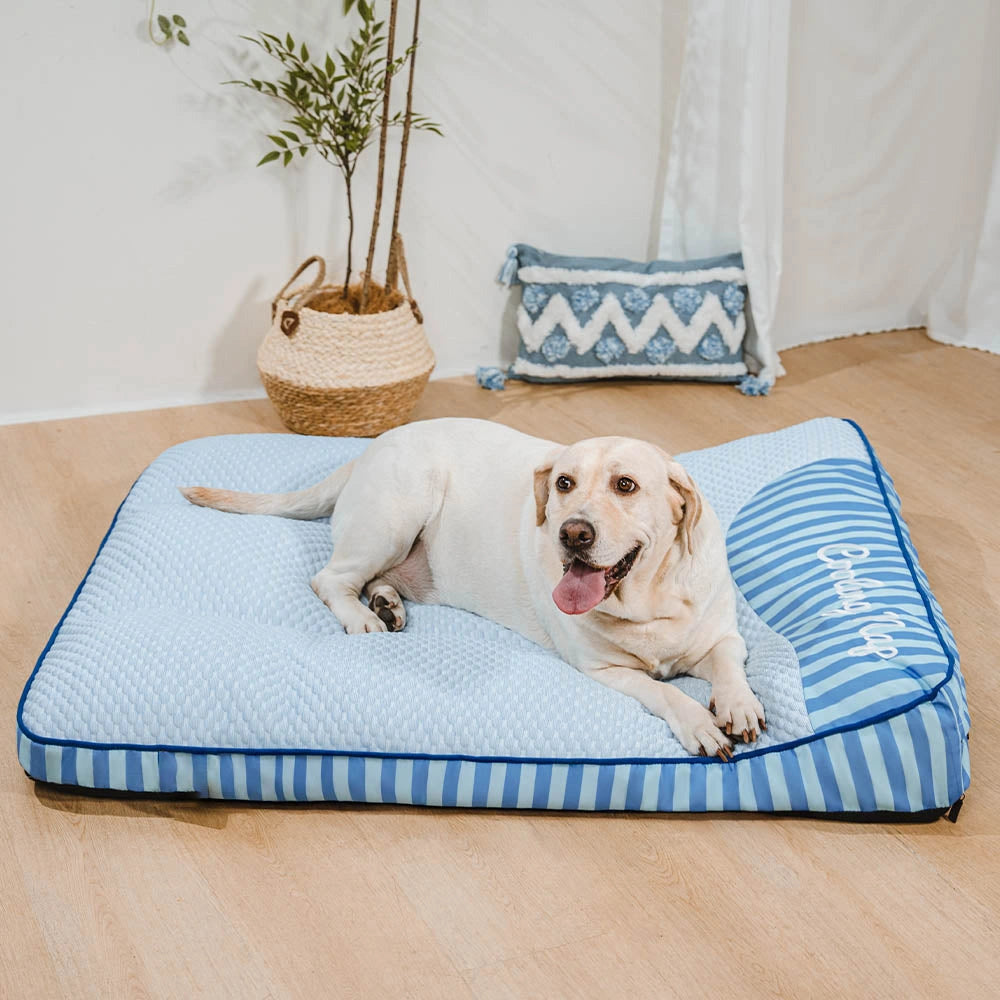 Cooling Scratch-resistant Spine Protection Large Washable Pet Cushion Bed