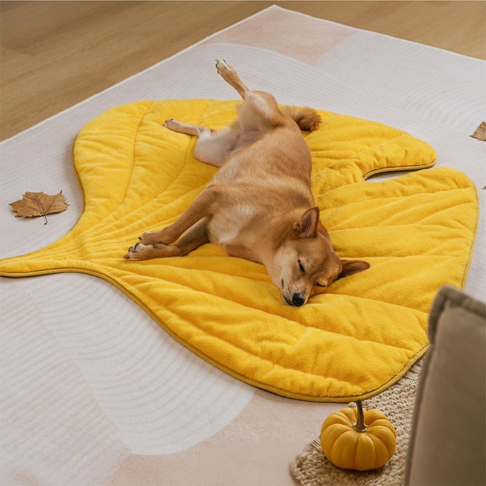 Plush Yellow Leaf Dog Blanket