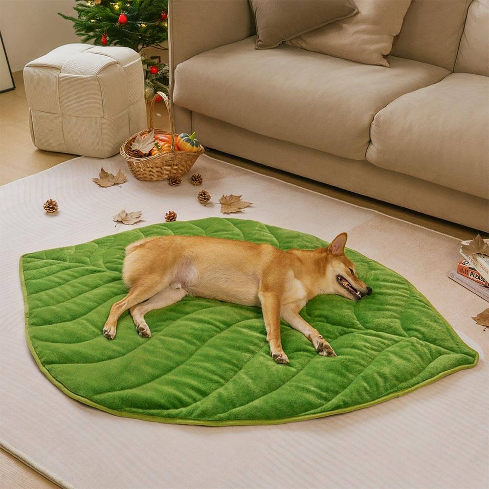 Plush Green Leaf Dog Blanket
