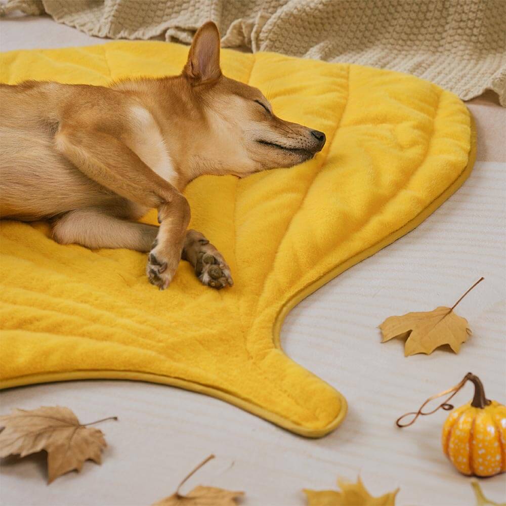 Plush Yellow Leaf Dog Blanket