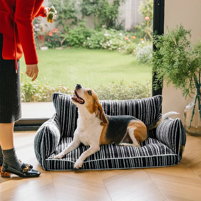 Cozy Textured Stripe Dog Sofa Bed