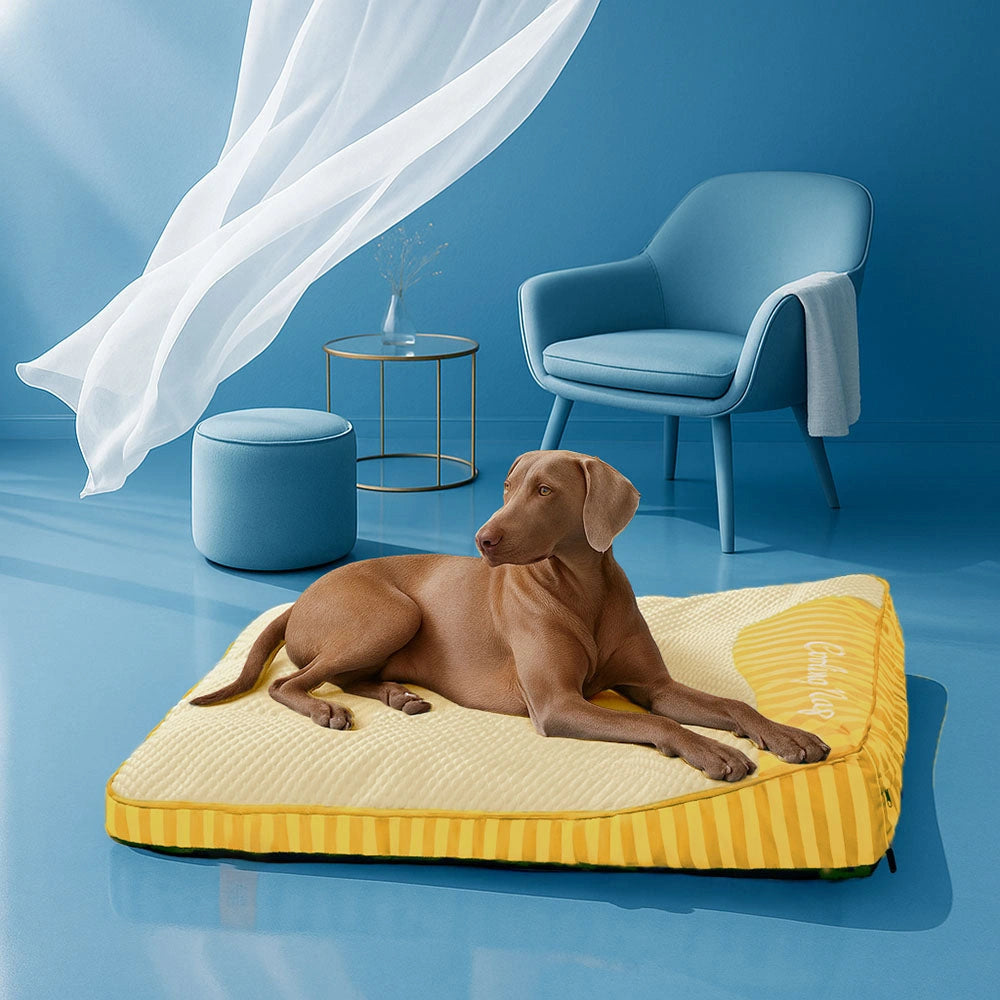 Cooling Scratch-resistant Spine Protection Large Washable Pet Cushion Bed