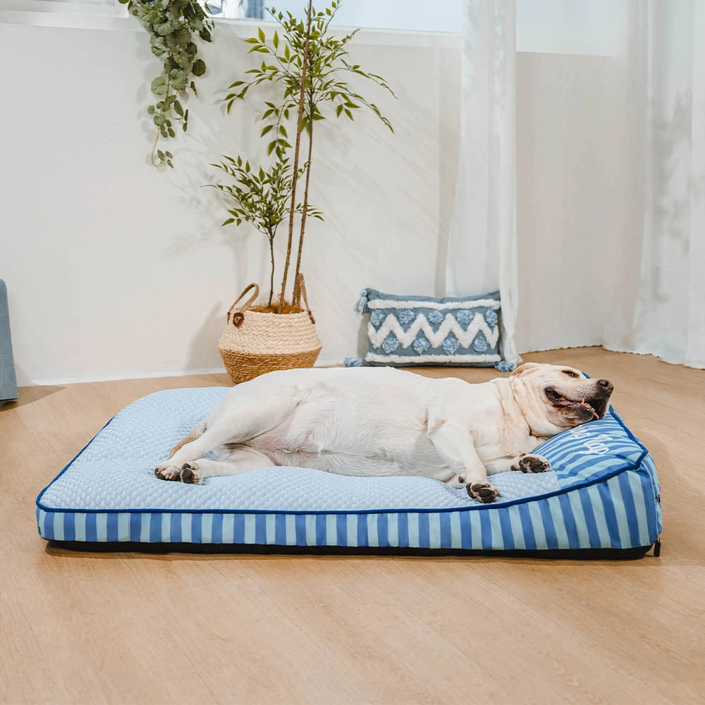 Cooling Scratch-resistant Spine Protection Large Washable Pet Cushion Bed