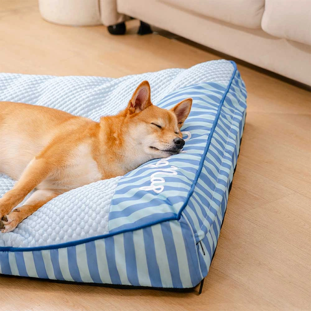 Cooling Scratch-resistant Spine Protection Large Washable Pet Cushion Bed