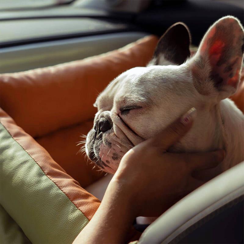 Olive Green Premium Dog Car Elevated Bed