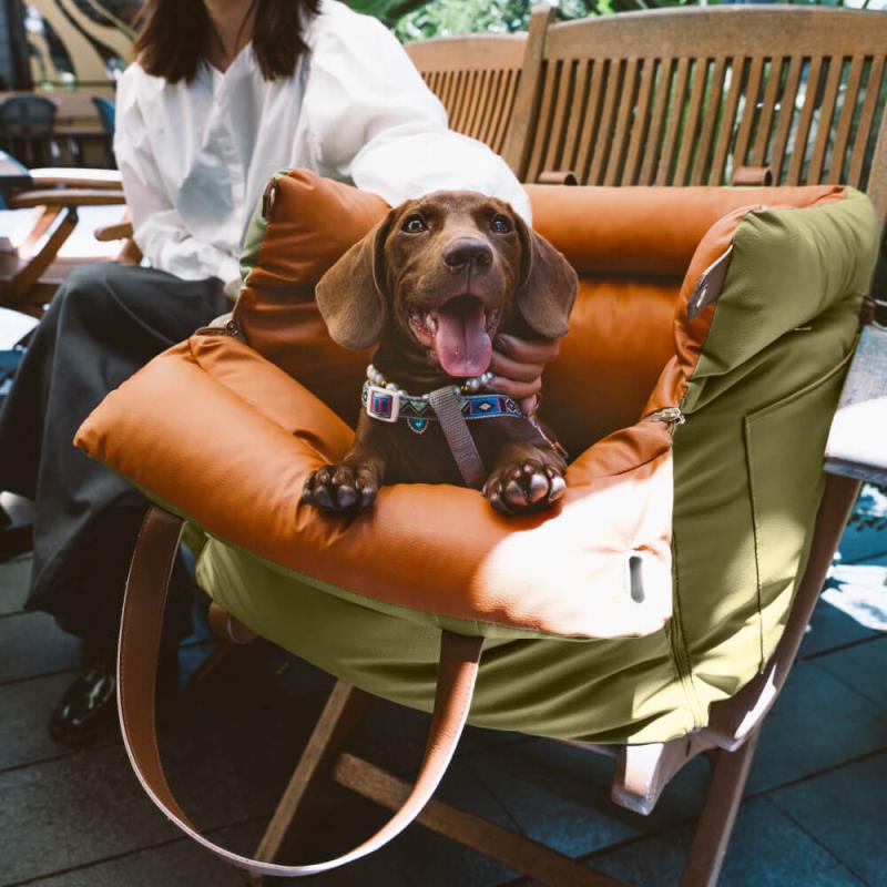 Olive Green Premium Dog Car Elevated Bed