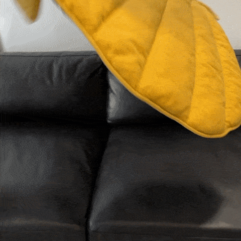 Both as a Cushion & Blanket, but also as a Mat