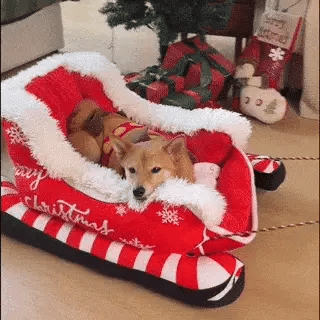 Festive Sled Design