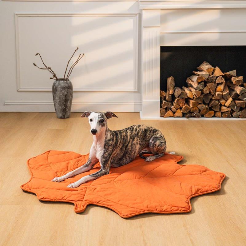 Maple Leaf  Dog Blanket