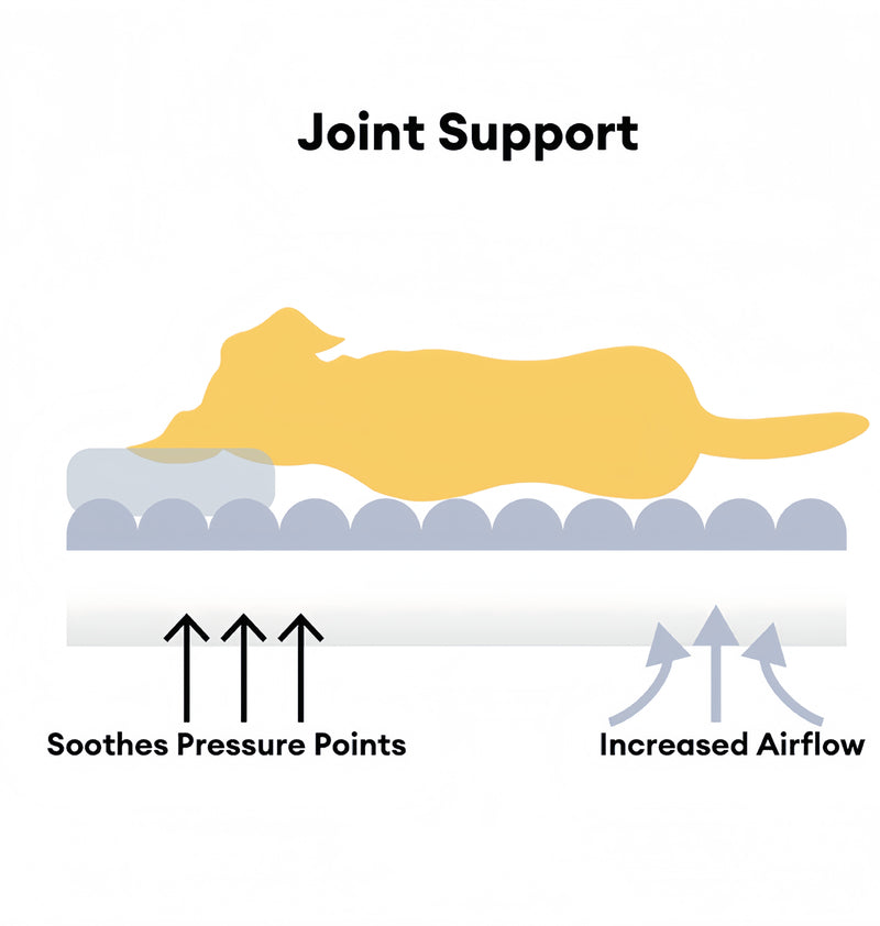 Joint-Healthy Support