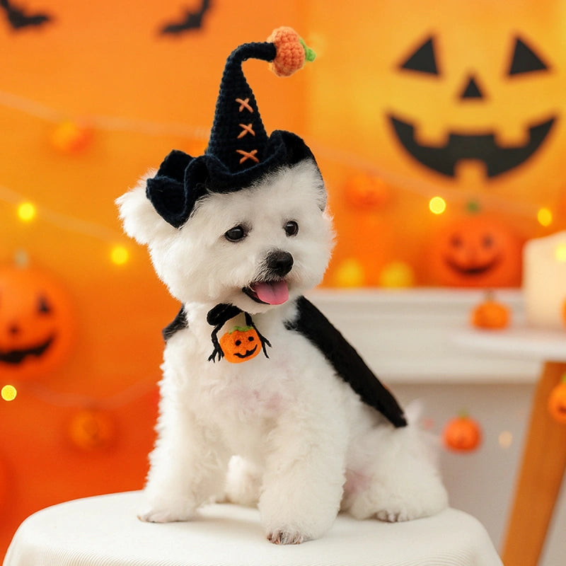 Halloween Knitted Hat