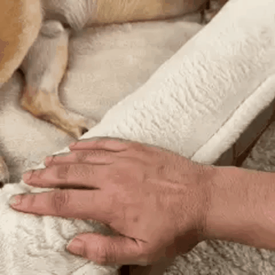 Wraparound Bolster Support