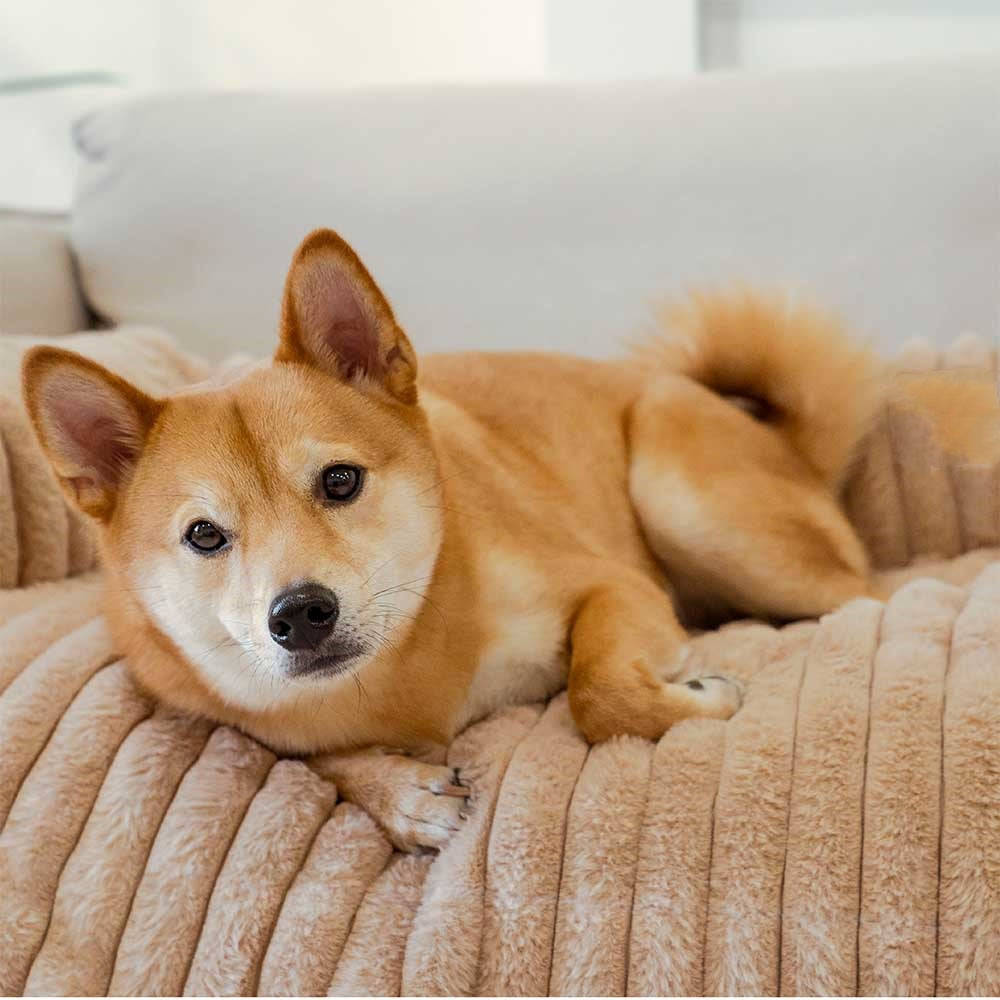 Fluffy Sofa Blanket Dog Couch Protector