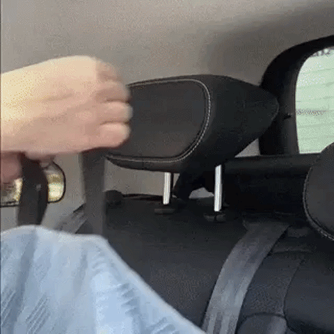 Travel-Ready & Secure