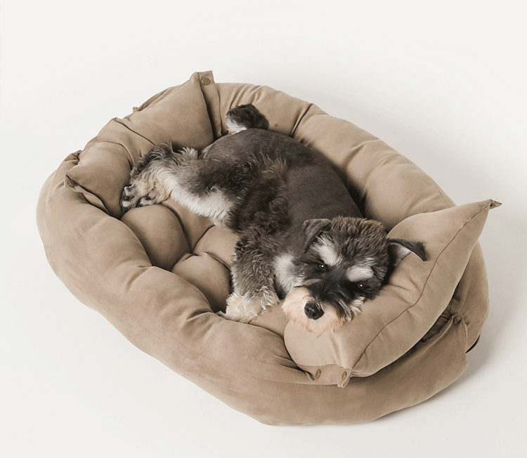 Soft Comfort, Easy Care