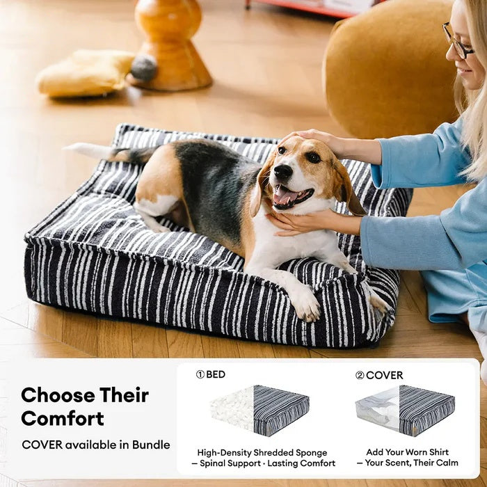Comfort That Feels Like Home