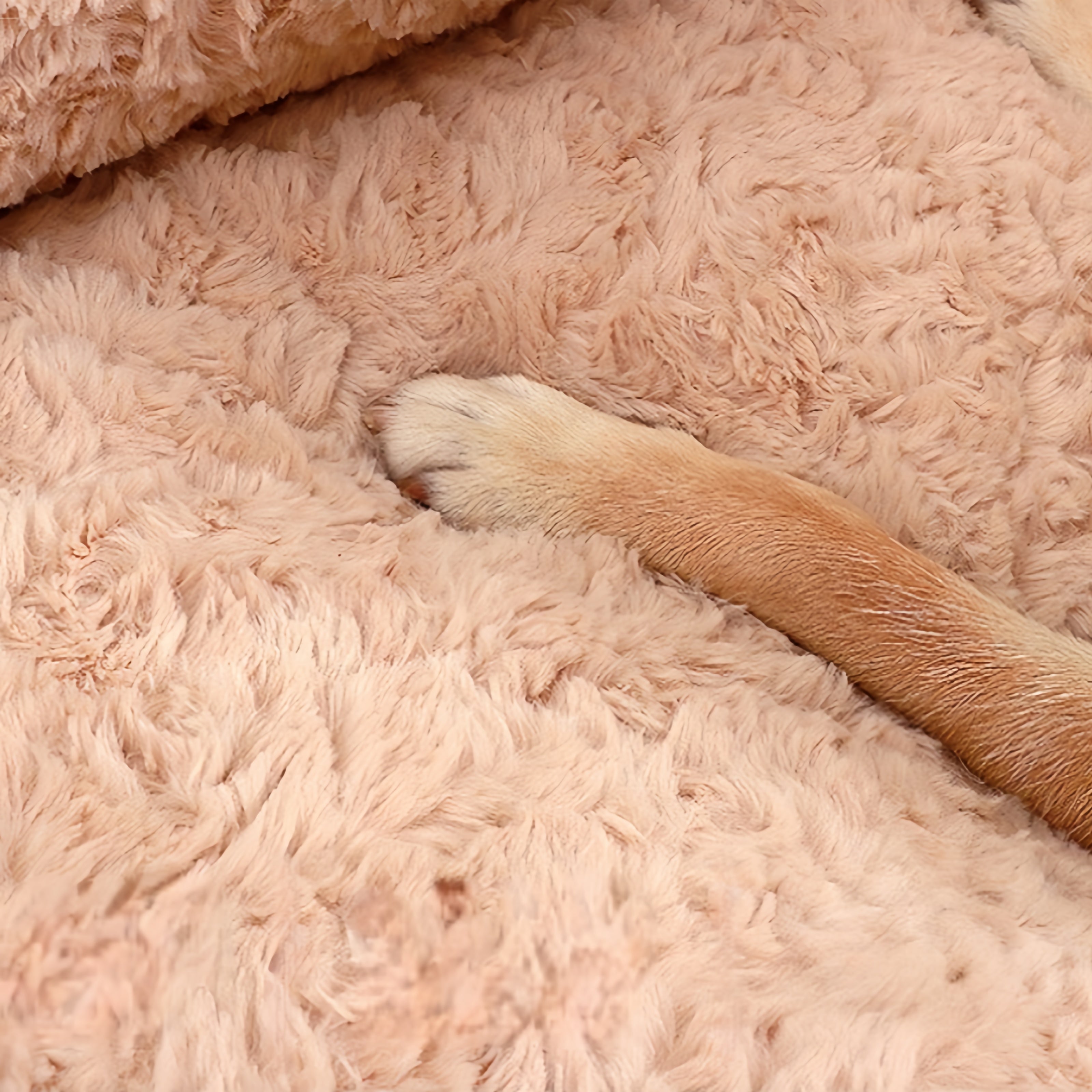 Furry Warm Washable Bloster Dog Sofa Bed