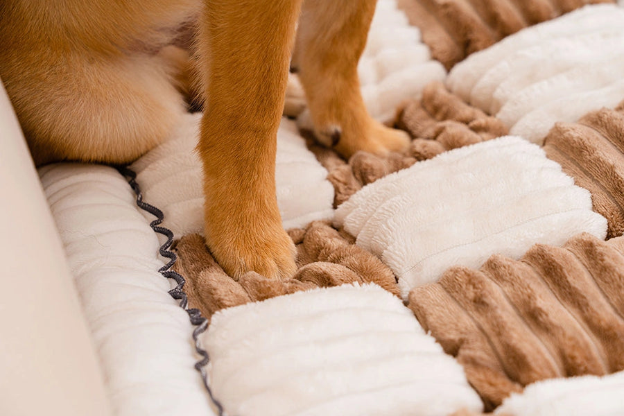 Protect your furniture and floors