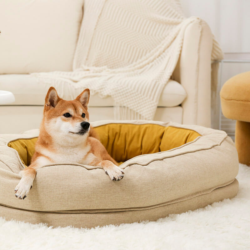 Yellow Donut Orthopedic Dog Bed