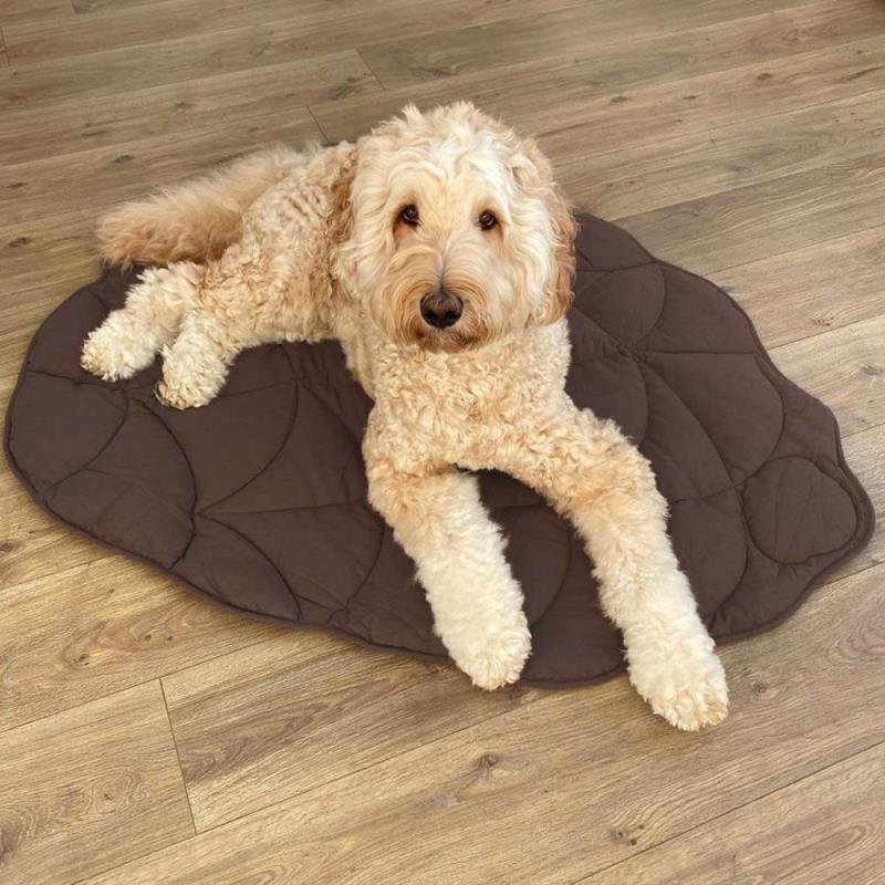 Brown Leaf  Dog Mat