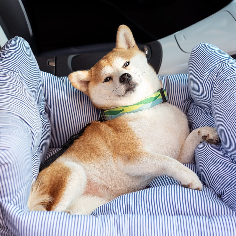 Blue Stripe Portable Dog Car Seat Bed