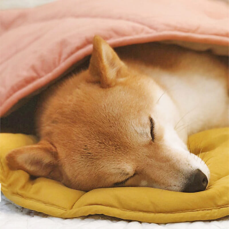 Yellow Leaf Dog Blanket