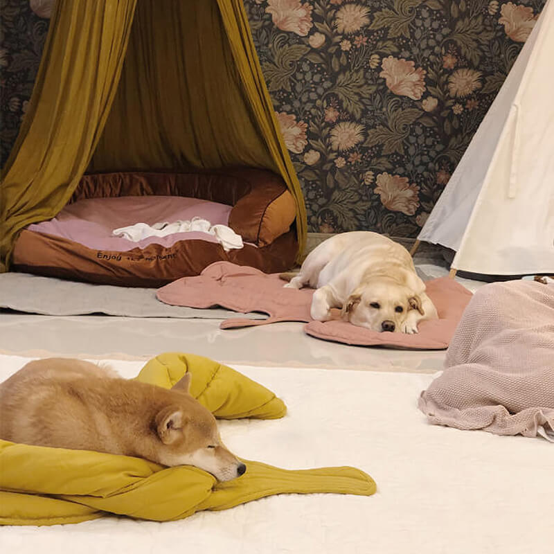 Yellow Leaf Dog Blanket