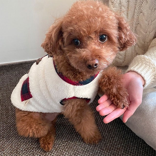 Christmas Plaid Dog Jacket with Scarf-White&Red